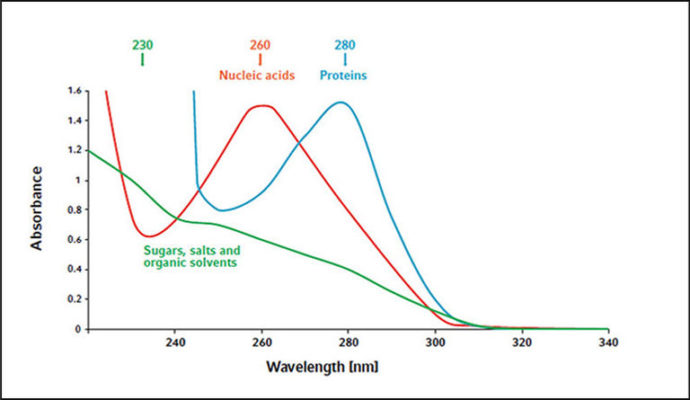 Spectre D Absorbance Spectrophotométrie UV-Vis – Quantification facile et rapide des acides ...